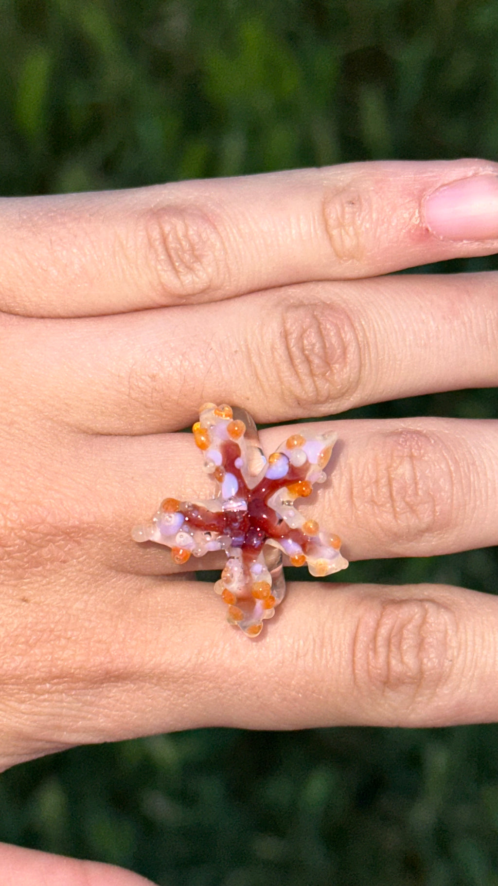Anillo estrella de mar