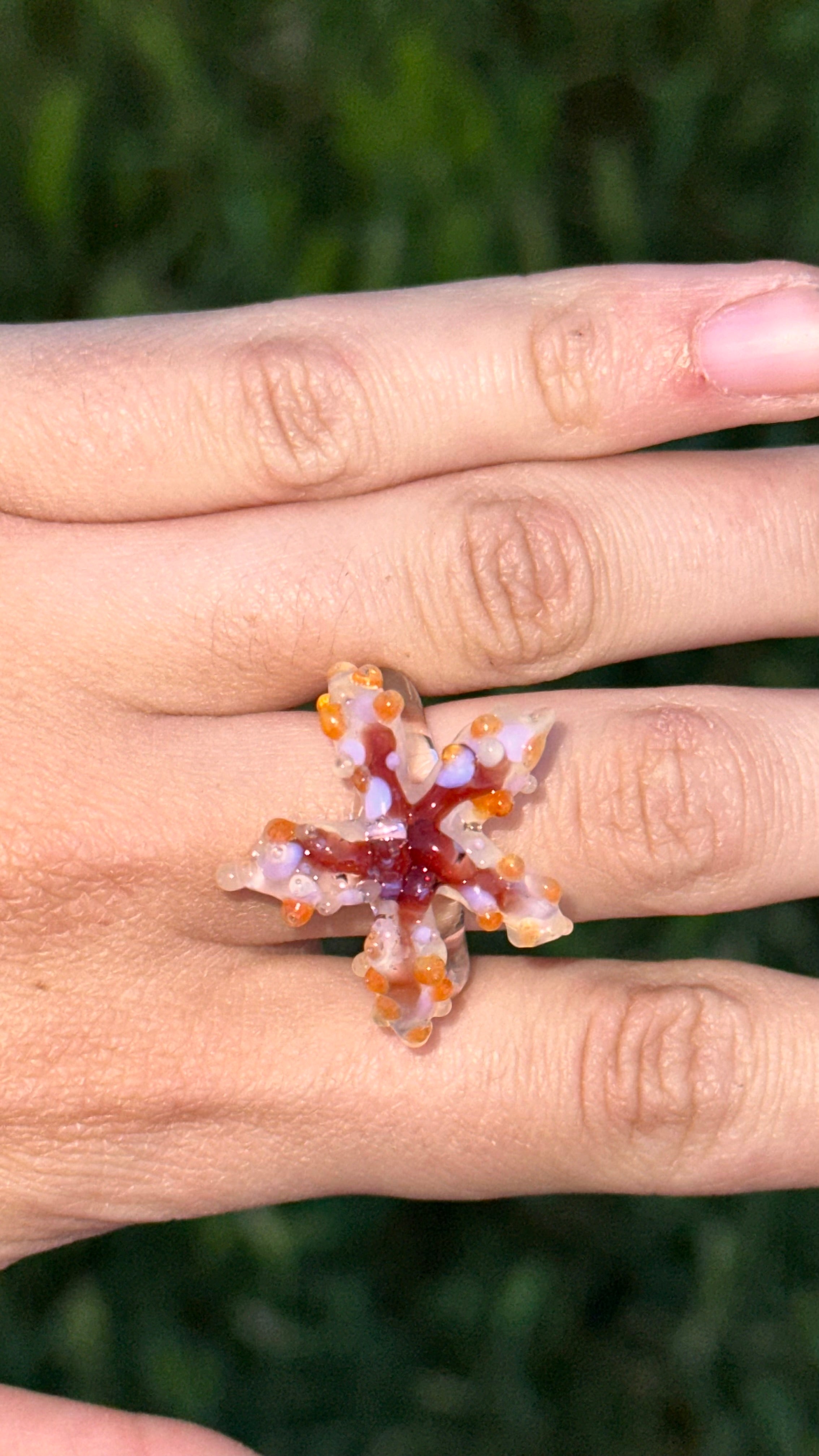 Anillo estrella de mar