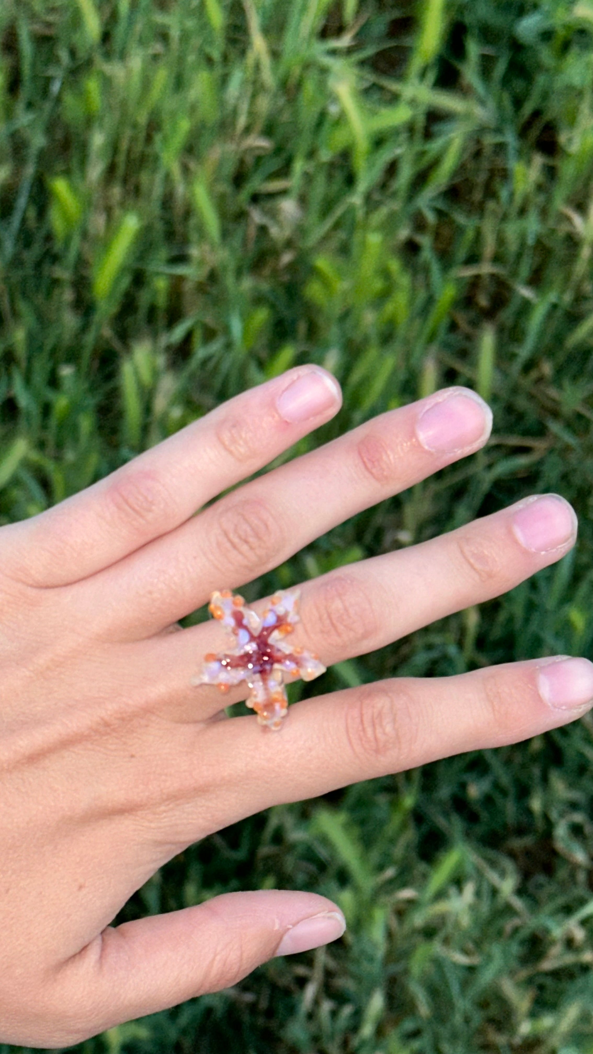 Anillo estrella de mar