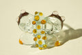 SELF JOY | Mariposa
