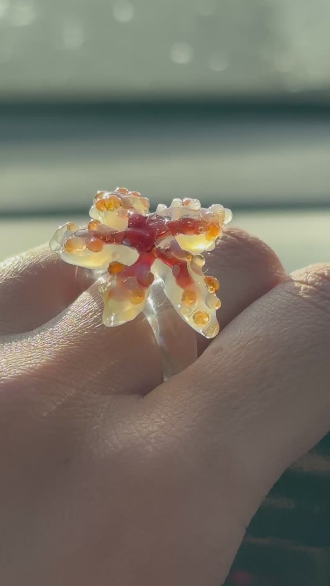 Anillo estrella de mar